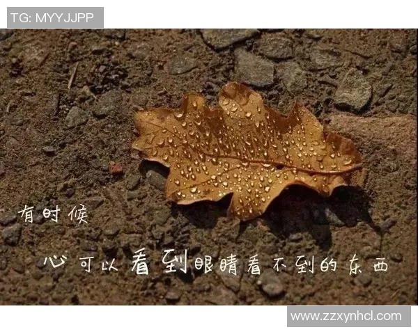 何思雨的心灵旅程与成长故事探索人生的意义与梦想的追寻