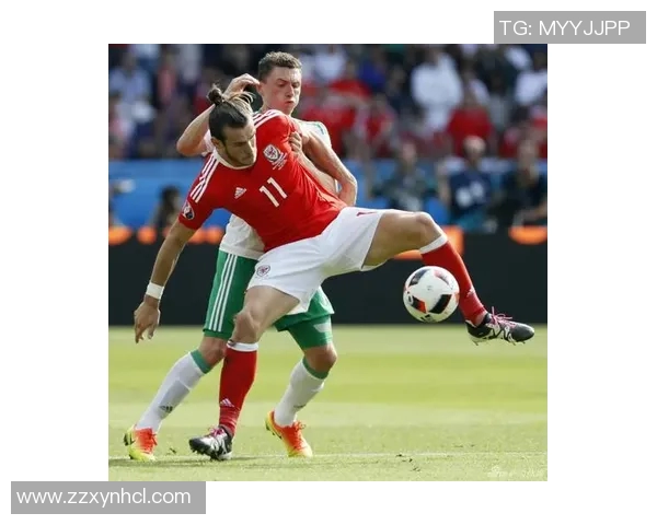 西班牙与威尔士精彩对决录像回放分析及比赛亮点总结